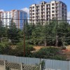 Вырубка сотен деревьев в бухте Казачья законная, – Севприроднадзор