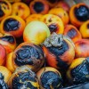 21 павильон сгорел на севастопольском рынке