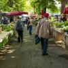 Москва поможет Крыму остановить рост цен на фрукты и овощи