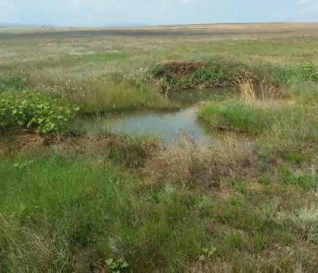 В Крыму вместо кранов воду спускают на бесхозные поля