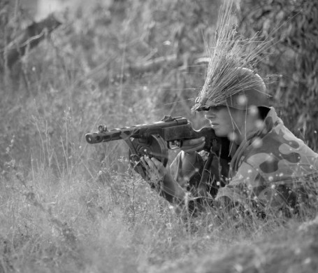 Нужен ли Севастополю еще один военный музей вместо леса?