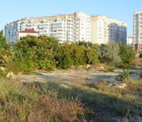 Севастопольского «дровосека» снова развернули от фисташковой рощи в Омеге