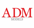 ADM World Models