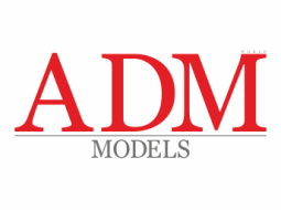 ADM World Models