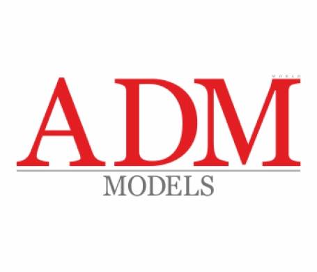 ADM World Models