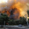 Стало известно, кто и зачем устроил масштабные лесные пожары в Турции