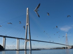Строительство моста через Севастопольскую бухту оценено в 63 миллиарда рублей
