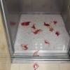 Кровавая драка произошла в спа-центре Севастополя