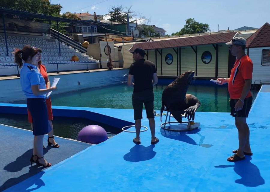 Деятельность дельфинария в Севастополе опять признана незаконной