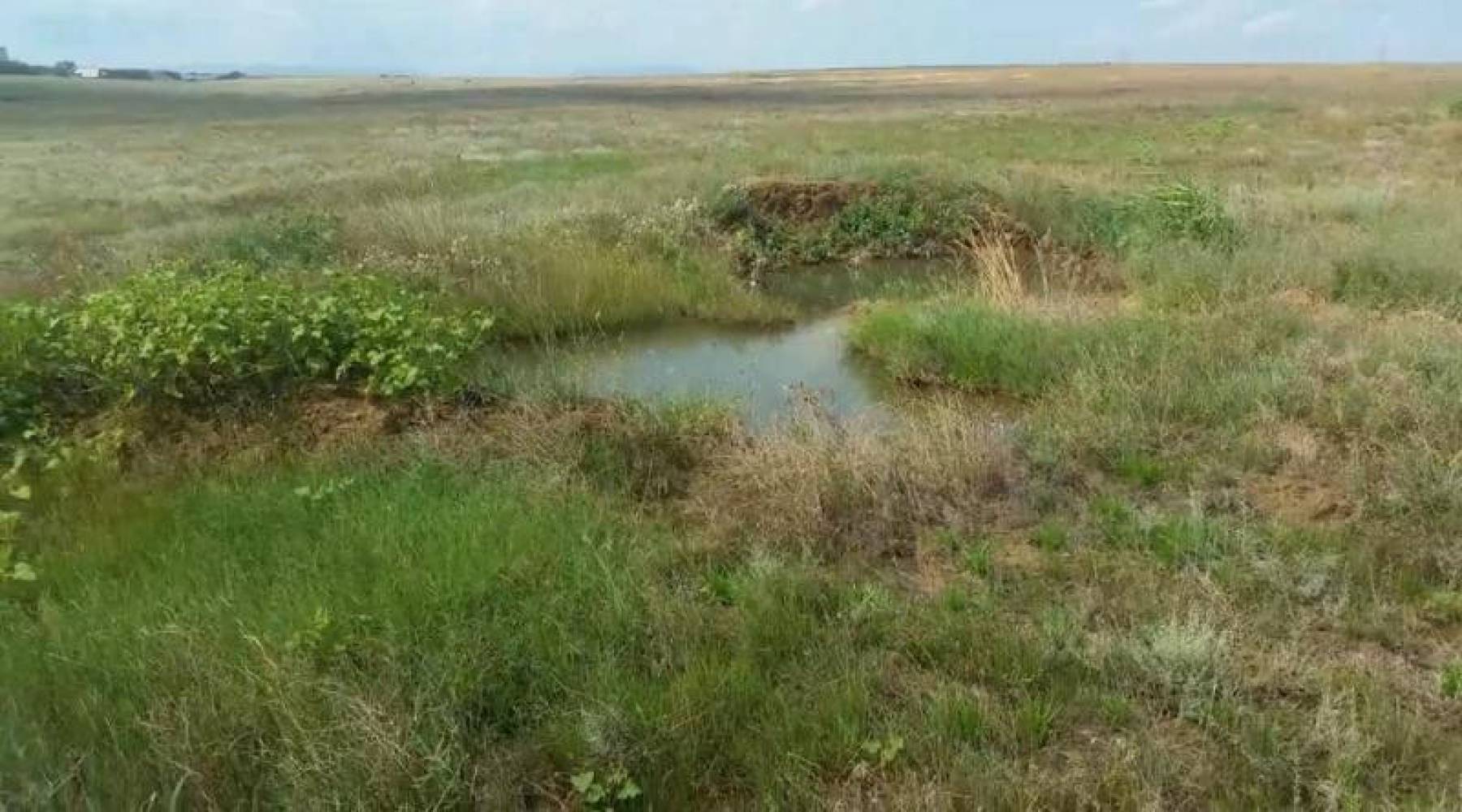 Массив степной феодосия. Воды степи. Какие воды в степях